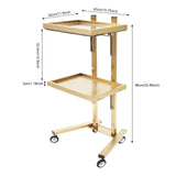 Lashelier Gold 2-Tier Salon Trolley with Swivel Wheels