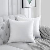 Lashelier Classic Studio Cushion Insert