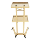 Lashelier Gold 2-Tier Salon Trolley with Swivel Wheels