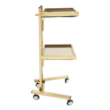 Lashelier Gold 2-Tier Salon Trolley with Swivel Wheels