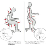 Lashelier Ergonomic Hydraulic Saddle Stool with Backrest