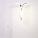 Lashelier Studio Half-Moon Lash & Photography Light