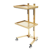 Lashelier Gold 2-Tier Salon Trolley with Swivel Wheels