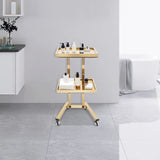 Lashelier Gold 2-Tier Salon Trolley with Swivel Wheels