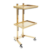Lashelier Gold 2-Tier Salon Trolley with Swivel Wheels